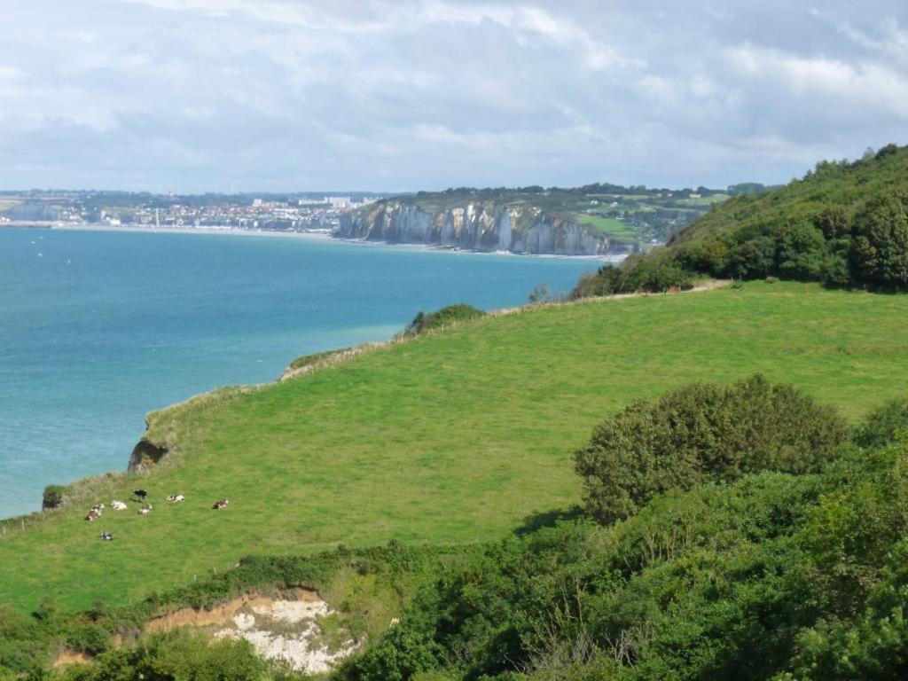 Villa Les Falaises Berneval-le-Grand ภายนอก รูปภาพ