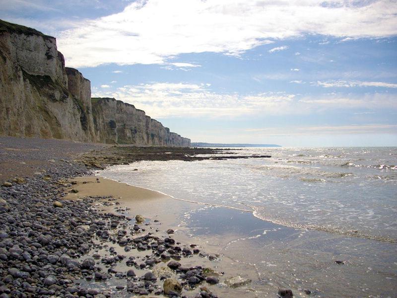 Villa Les Falaises Berneval-le-Grand ภายนอก รูปภาพ