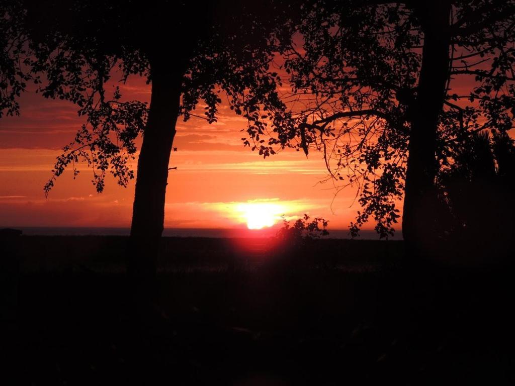 Villa Les Falaises Berneval-le-Grand ภายนอก รูปภาพ